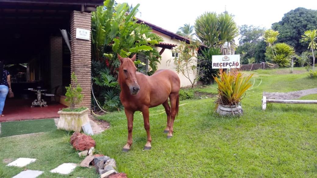 Hotel Fazenda Agua Da Prata Agri Turismo Camaçari المظهر الخارجي الصورة