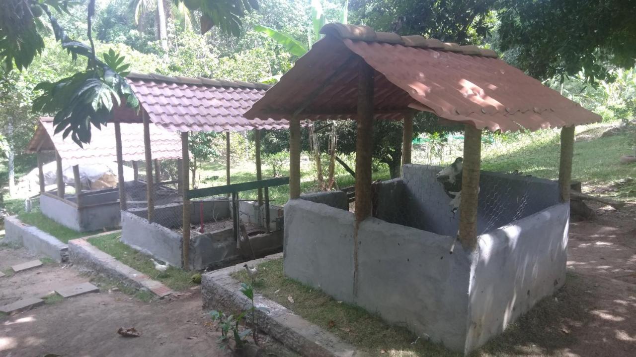 Hotel Fazenda Agua Da Prata Agri Turismo Camaçari المظهر الخارجي الصورة